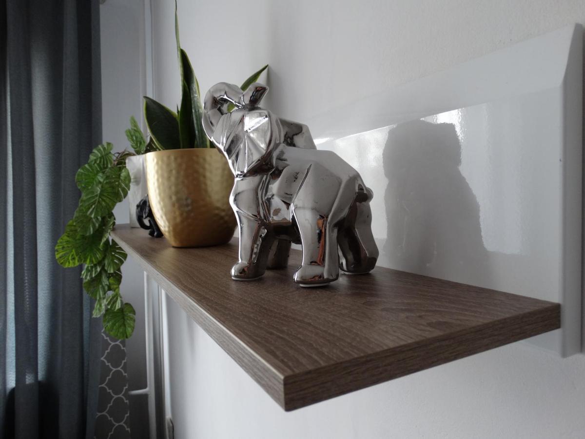 Sienkiewicza Apartament Multi House Rzeszow Luaran gambar