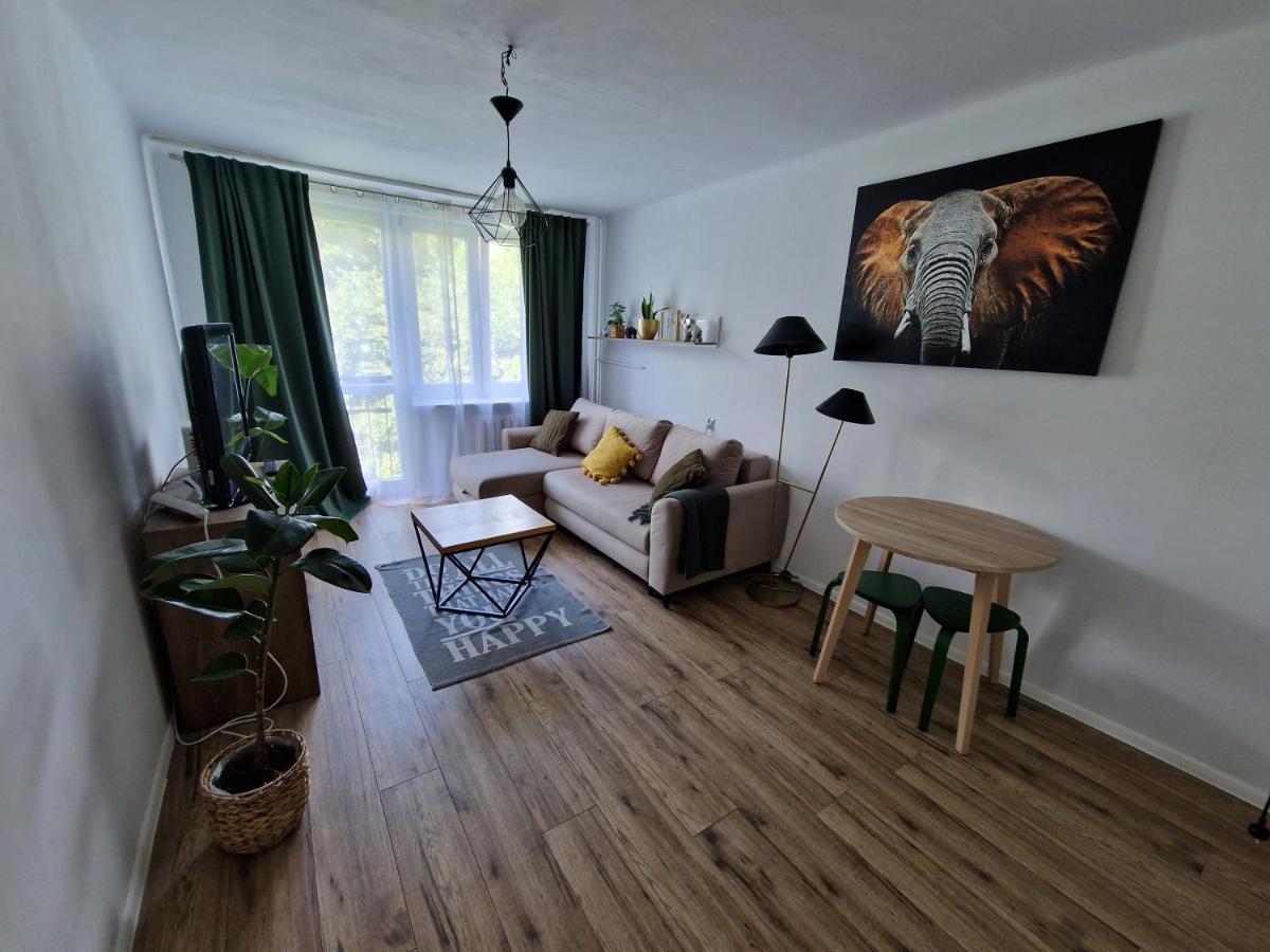 Sienkiewicza Apartament Multi House Rzeszow Luaran gambar